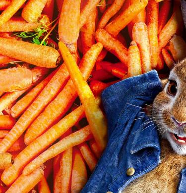 比得兔 Peter Rabbit Banner Image